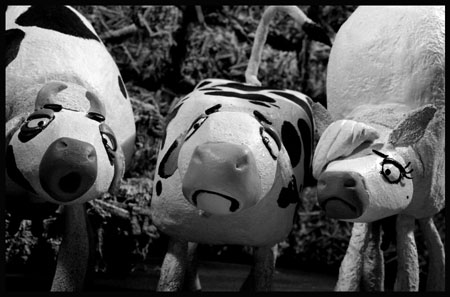 TRAILER: “The Wanted 18”