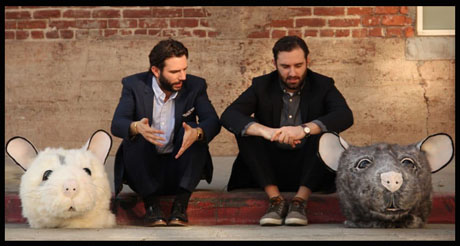 animals directors460