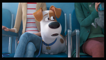 TEASER #1:  First Look at “The Secret Life of Pets 2”