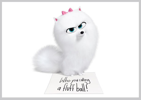 Meet Gidget – Via the New “Secret Life Of Pets 2” teaser
