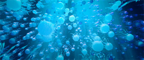 INTERVIEW: A New Beginning With "Awakening: The First Day" 10 Awakening2 460