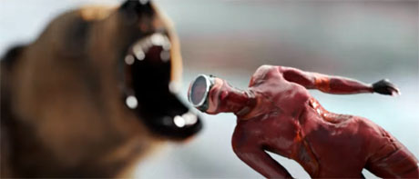 INTERVIEW: Dive In For "Wild Summon" 15 WildSummon3 460