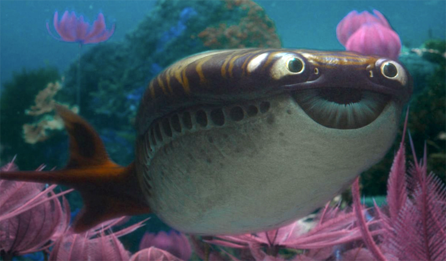 First Image