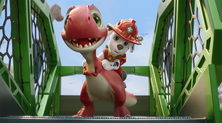 First Image