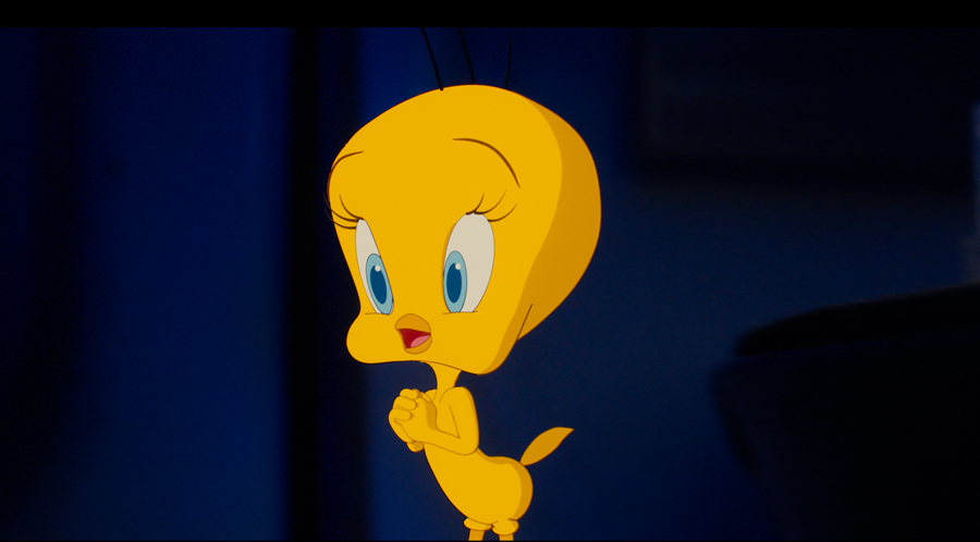 Animation Supervisor Ben Anderson on Treating 'Coyote Vs. Acme' Like a 2D Chuck Jones 5 Coyoye Tweety